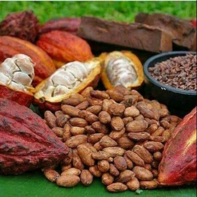 Bột cacao nguyên chất