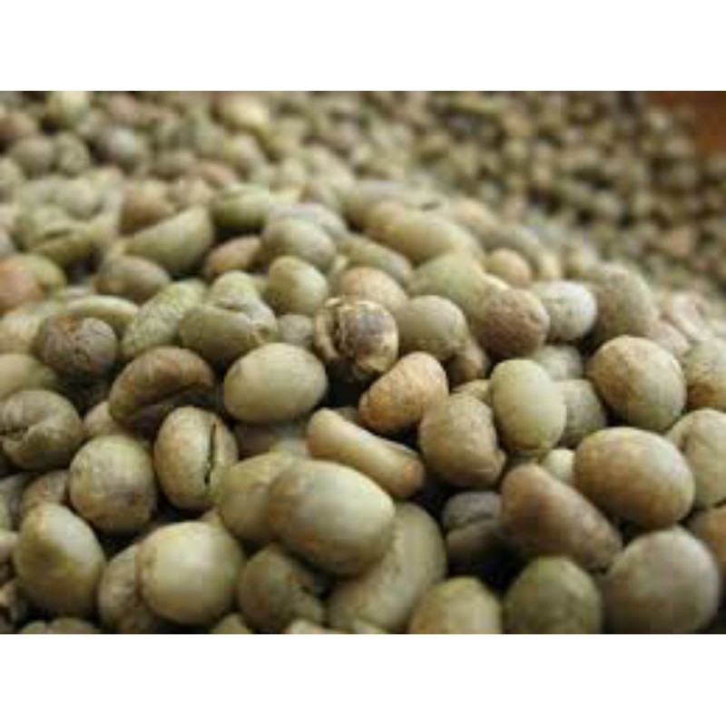 1kg nhân cà phê culi sống