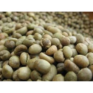 600g nhân cà phê culi sống