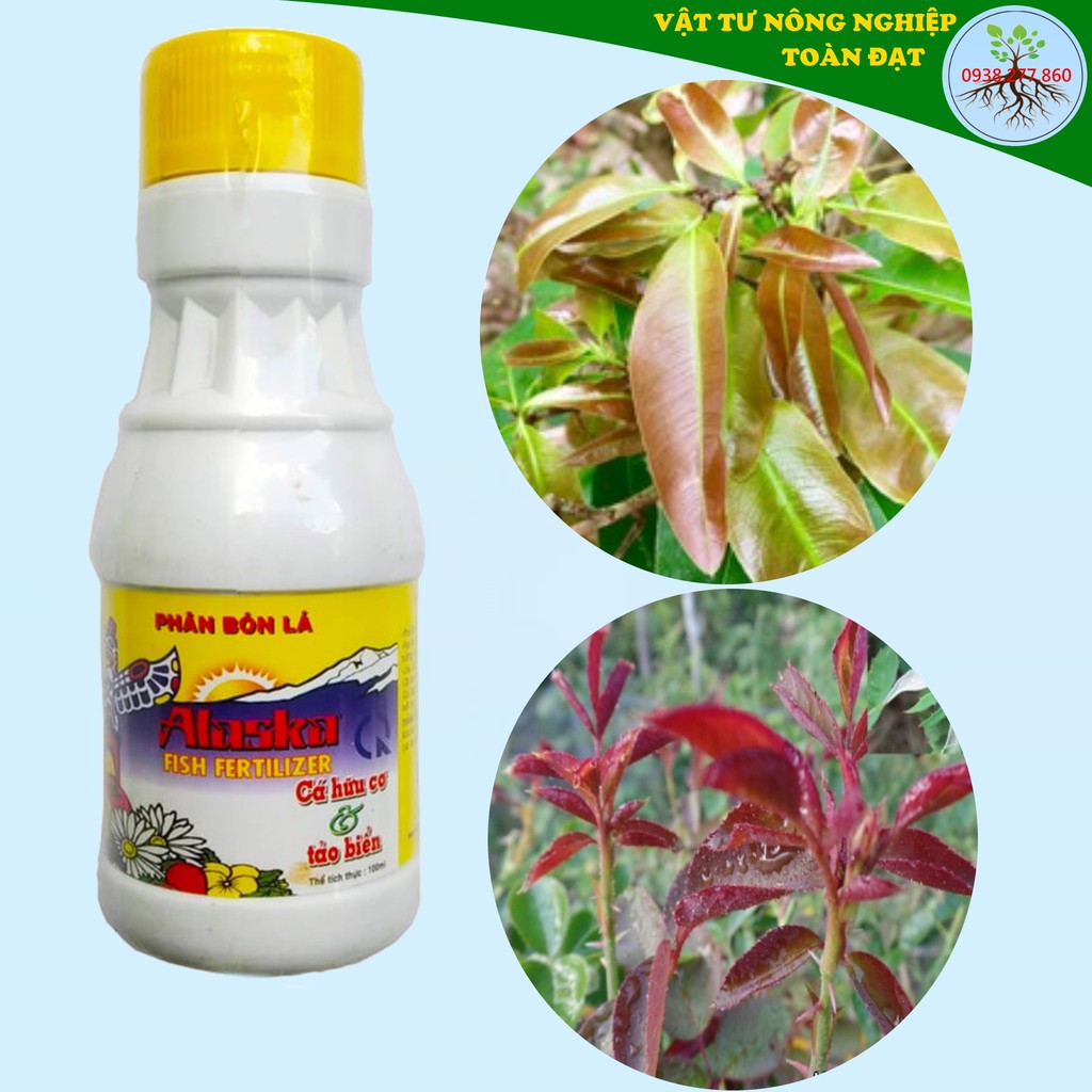 Đạm Cá Rong Biển SeaWeed Alaska (100ml), Phân bón Fish Emulsion hữu cơ dùng cho hoa hồng và cây kiểng
