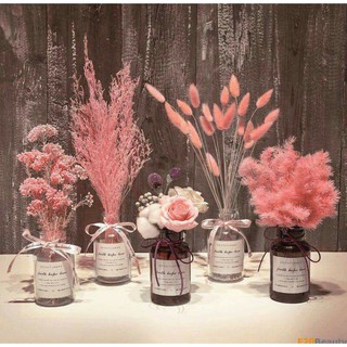 Hoa khô- Lọ hoa baby khô phong cách vintage dễ thương để bàn làm việc hoặc kệ đầu giường