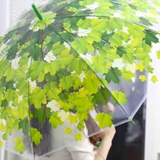 Ô họa tiết 3D trong suốt