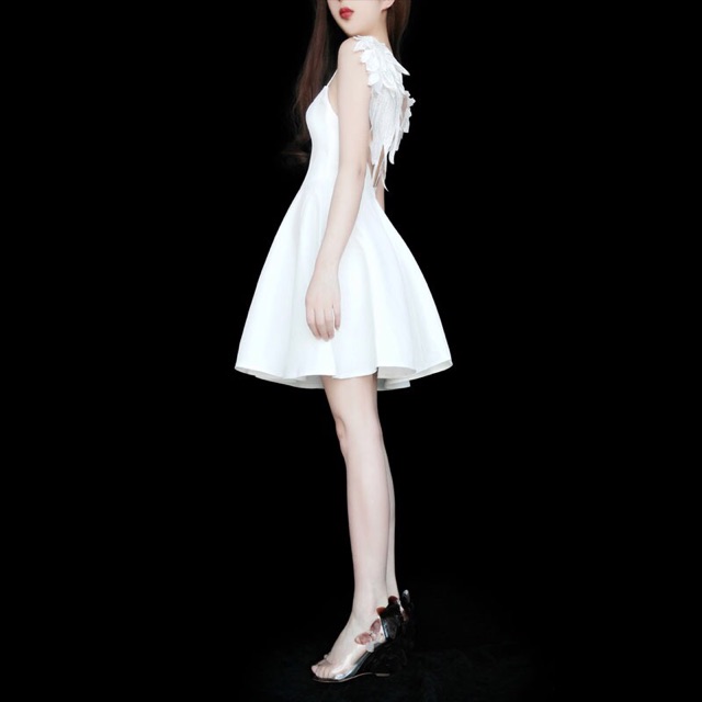 ĐẦM DÂY ĐÔI CÁNH