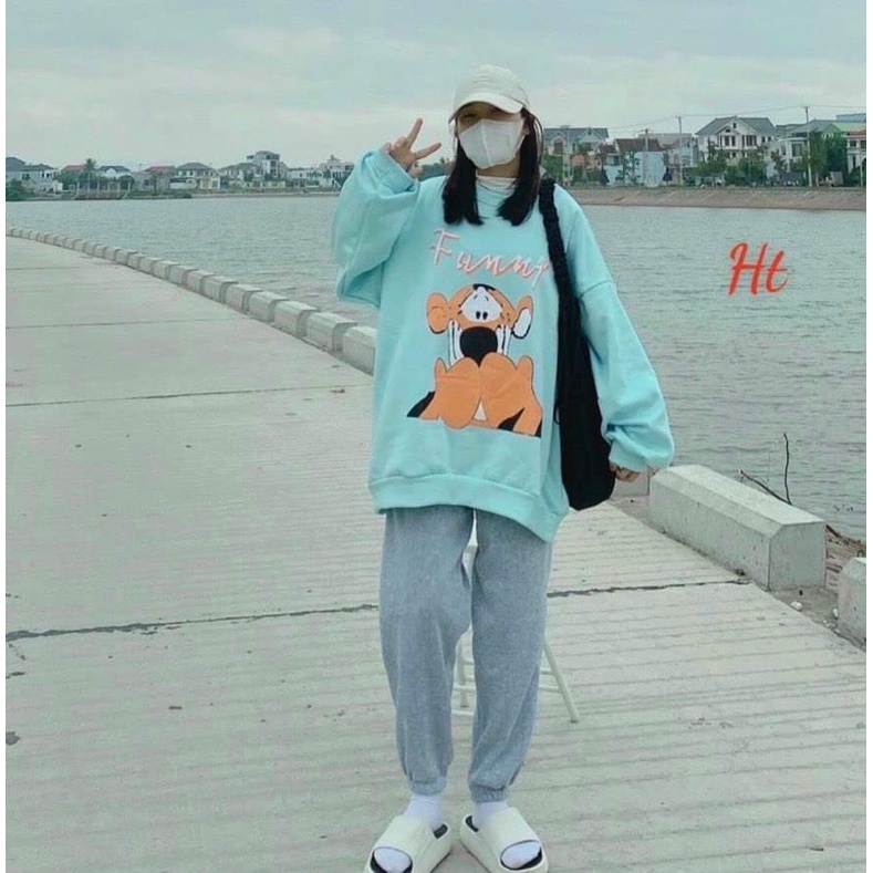 Bộ nỉ ngoại sư tử cam H2B