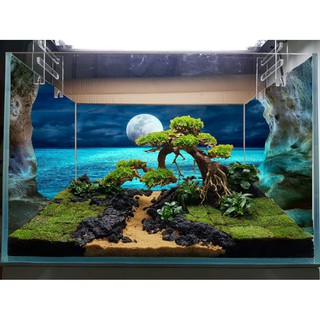 Tranh bể cá 3d