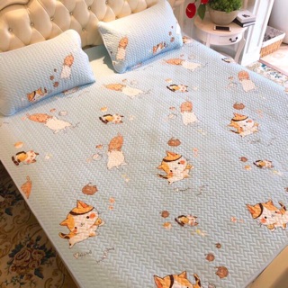 Chiếu lụa Tencel 2D -> hàng loại 1 -> inbox chọn mẫu