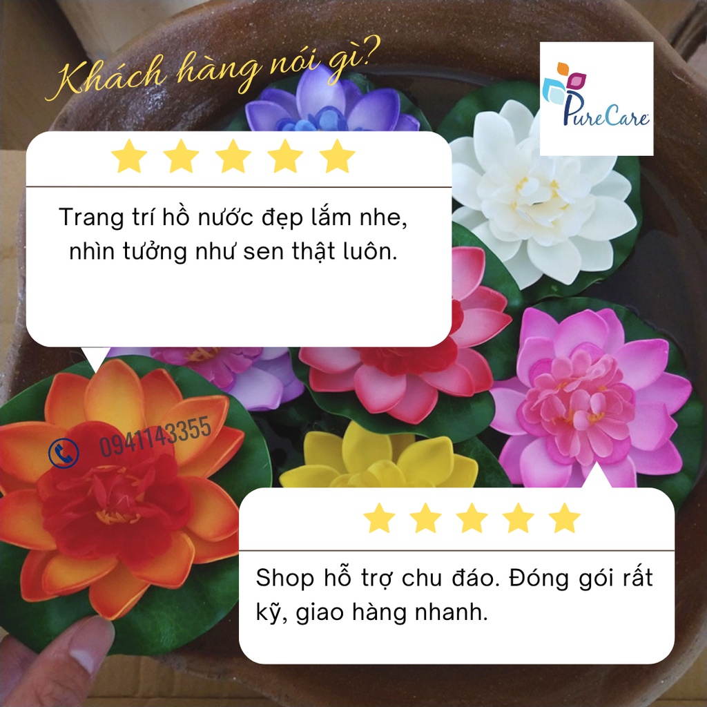 HCM_Hoa sen thả hồ, trang trí tiểu cảnh thả nổi trên nước