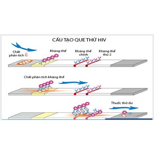 [Mua 5 Bộ Tặng 1 Bộ] Que Thử HIV Fastep - Hàng Mỹ - Bộ Que Test HIV Nhanh, Chính Xác, Nên Test 2 Bộ/Lần Đẻ Tránh Sai Số