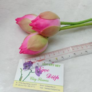 3 CÀNH NỤ SEN ĐẤT SÉT (60CM)