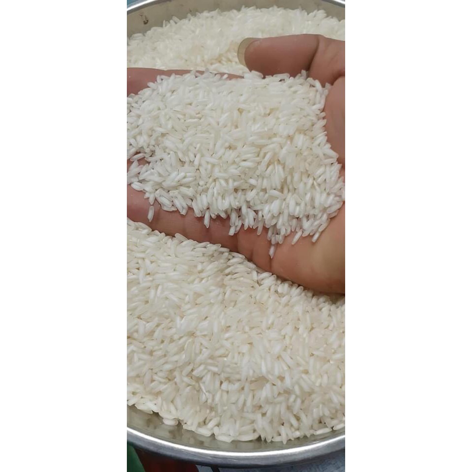 1kg Gạo Thơm Lài Trắng Sữa Đục – Cơm Dẻo Thơm Vừa  Mềm Cơm Ngọt Vị - Nông Sản Quê Sally Shop | BigBuy360 - bigbuy360.vn