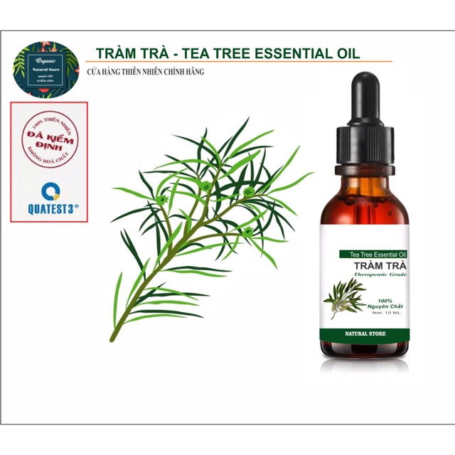 10ML Tinh dầu tràm trà ( Tea Tree Oil ) dưỡng da xóa mụn nguyên chất Organic