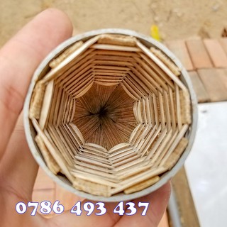 Combo 10 Hom Lươn đẹp chuẩn, giao hàng toàn quốc 24/7