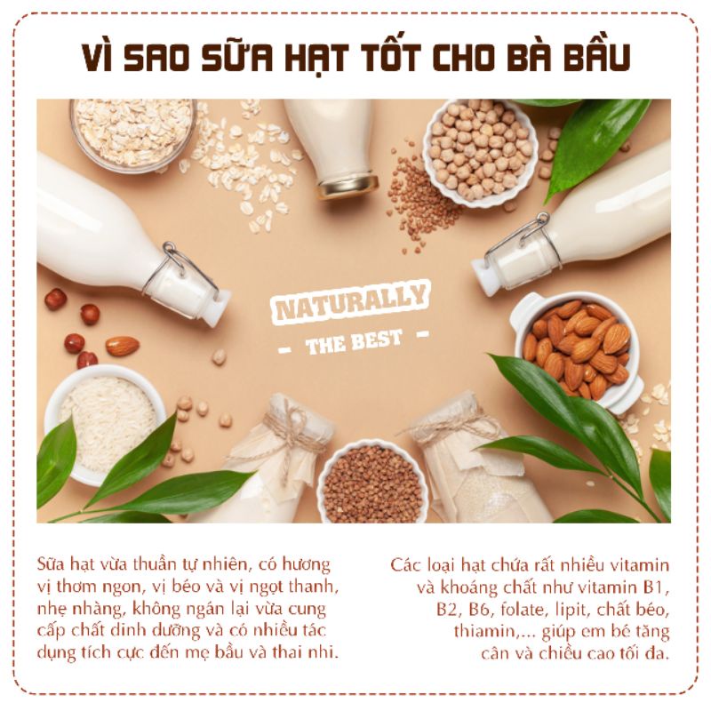 Sữa hạt dành cho mẹ bầu bú Vegemil - Nhập khẩu Hàn Quốc