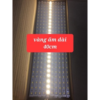 Combo mua 10 thanh tặng 2 thanh- led trang trí- dc 12v- không kèm nguồn