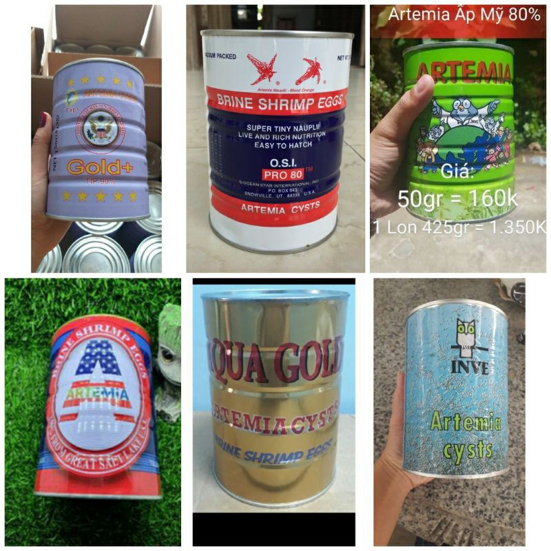 Artemia ấp nở USA tỷ lệ từ 75% đến 95%
