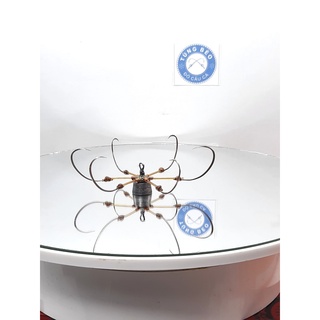 lưỡi câu lục cỡ 7 các dáng,lưỡi lục giành cho câu rô mà , lưỡi câu lục cần tay