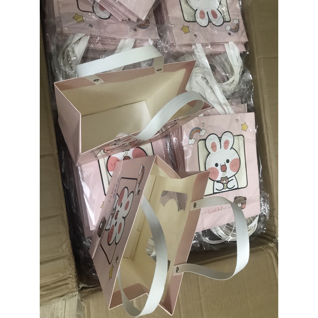 Túi đựng quà giấy sang trọng, Túi gấu gói quà nhiều màu đẹp