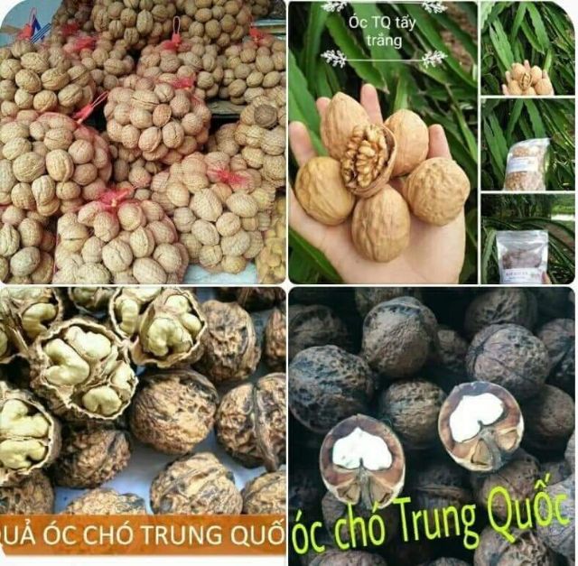 1kg Óc chó mỹ nhân tim nhập khẩu chính hãng