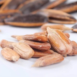 Hướng dương caramen gói 500g.