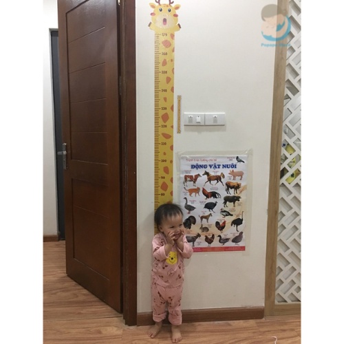 Thước do chiều cao dán tường hình con vật đánh yêu dễ thương cho bé