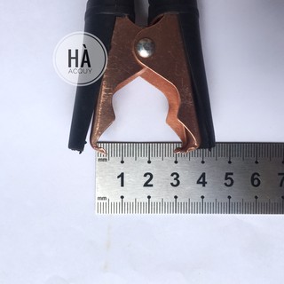 2 Kẹp bình Acquy 100A - 9.5Cm