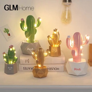 Chậu xương rồng decor