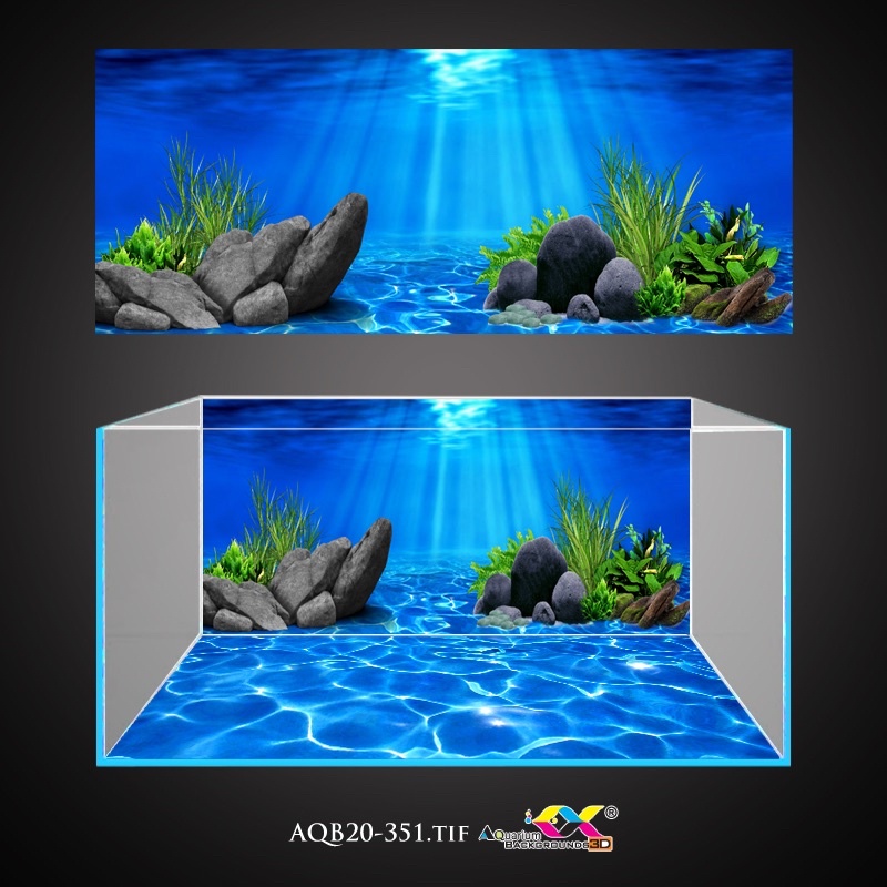 Tranh 3D - phông nền dán hồ cá, bể thuỷ sinh siêu đẹp và nét, có keo sẵn trên bề mặt, có thể in theo kích thước yêu cầu