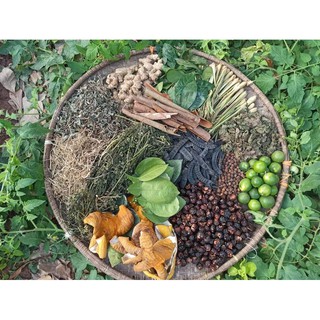 Dầu gội thảo mộc handmade