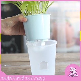 Chậu cây nhựa tự tưới nước cho cây cảnh nội thất, cây hoa kiểng, cây văn phòng