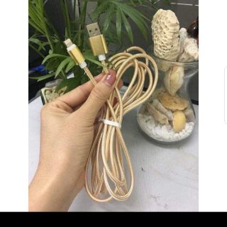Day sac đien thoai 3m