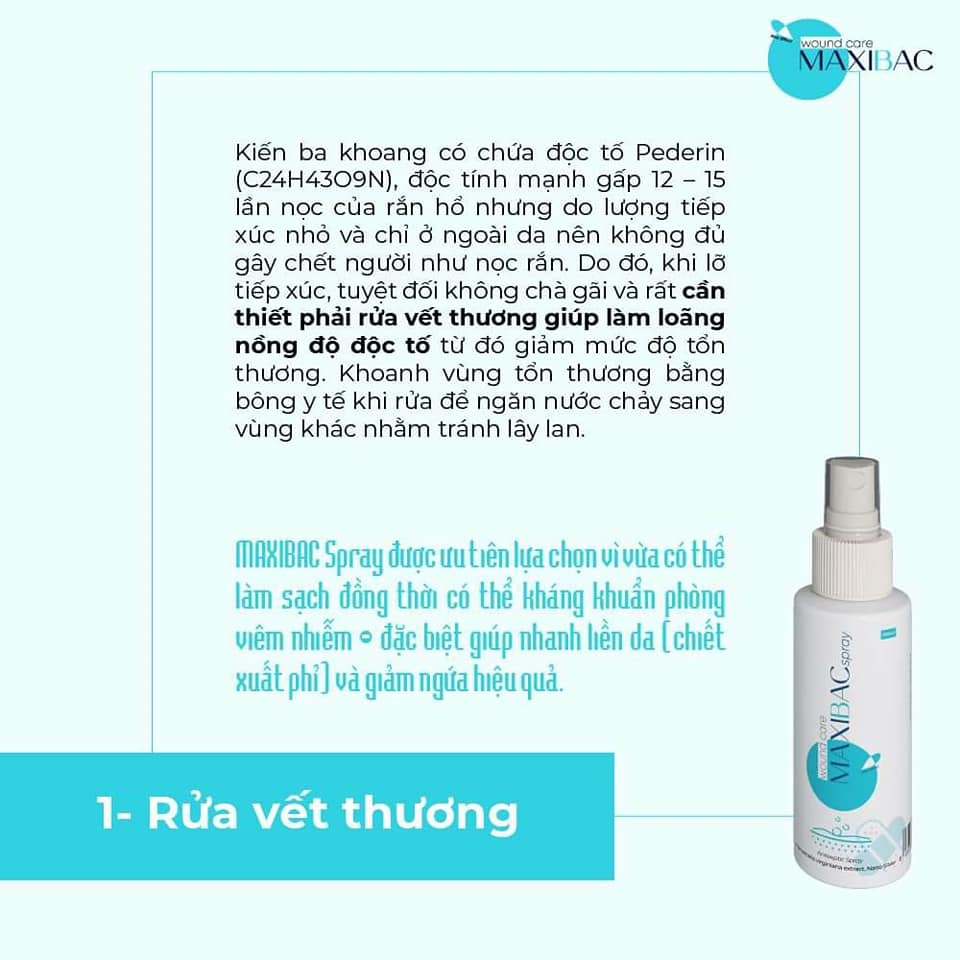 Gel kháng khuẩn Maxi Bạc Gel - giải pháp cho các bệnh về da: bỏng, herpes, zona thần kinh, nấm, vết thương hở