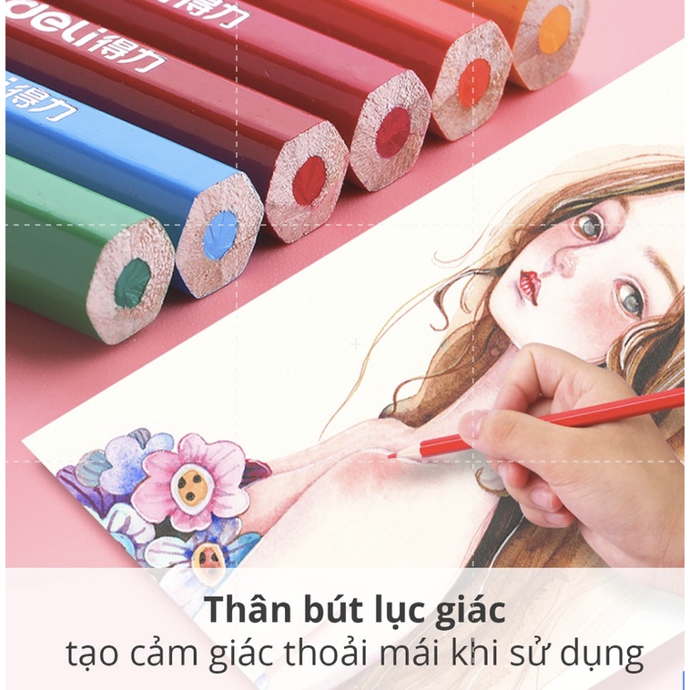 [Mã LIFE1404ALL giảm 20K đơn 50K] Bút chì màu dạng cốc Deli chất liệu gỗ khô tự nhiên an toàn - 12/24/36/48 màu - 7070