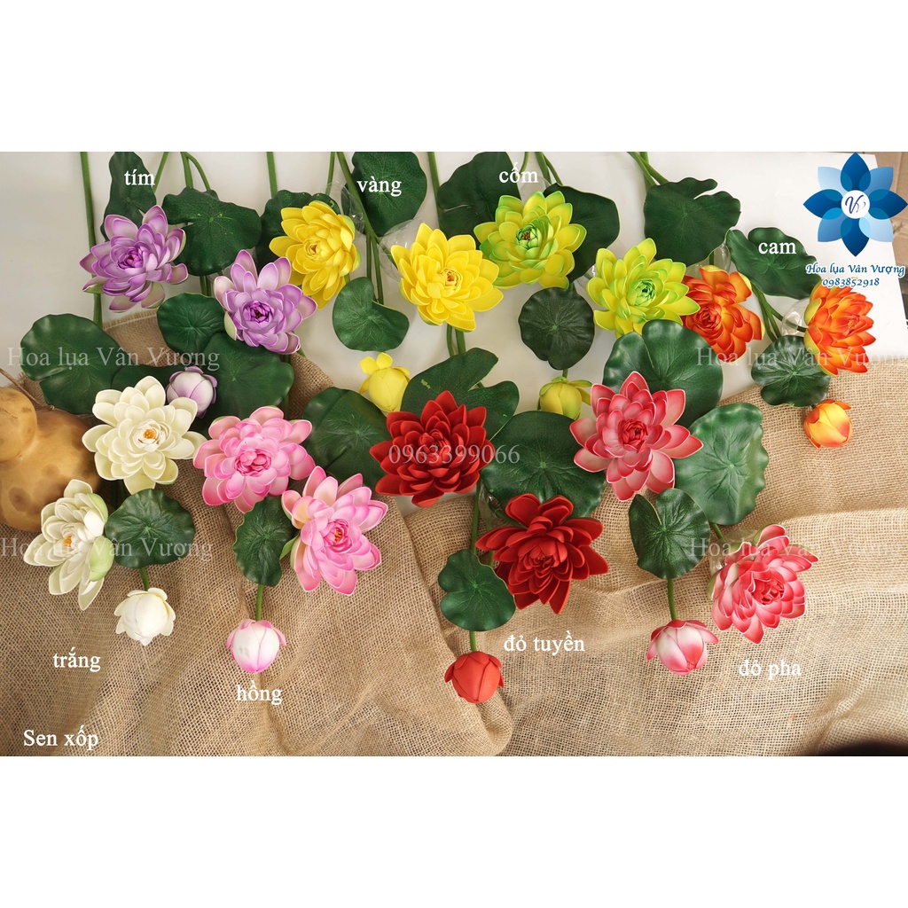 Hoa Giả Để Bàn 🌺FREESHIP🌺 Hoa Sen Xốp Cao Cấp