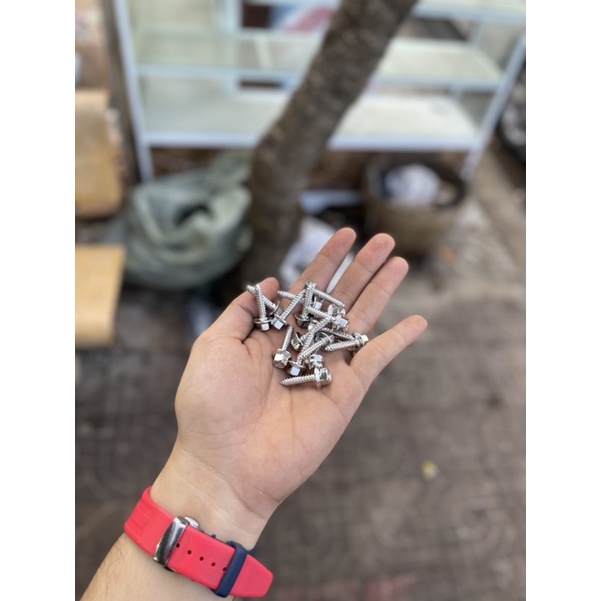 Ốc Salaya Mẫu thái đầu cao Xoắn Ya , pô e Vario