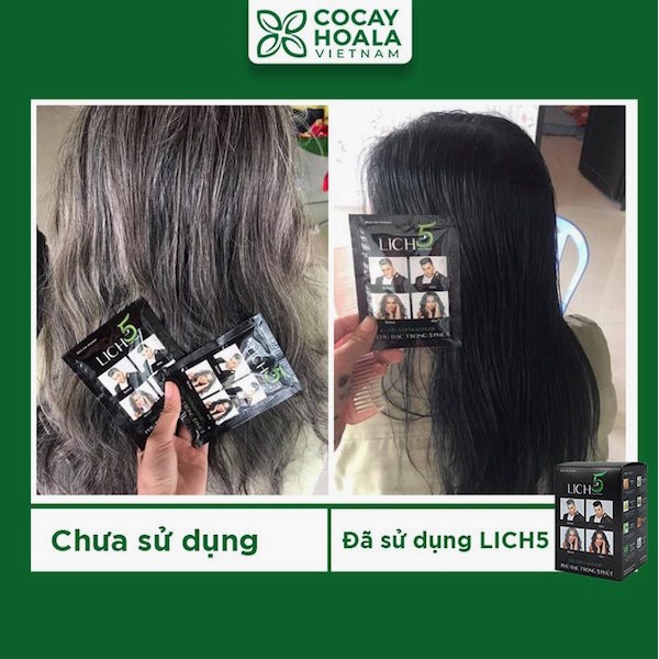 Dầu Gội Lich5 Cocayhoala làm đen tóc trong 5 phút hộp 10 gói