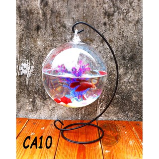 Bể cá mini để bàn treo khung đen