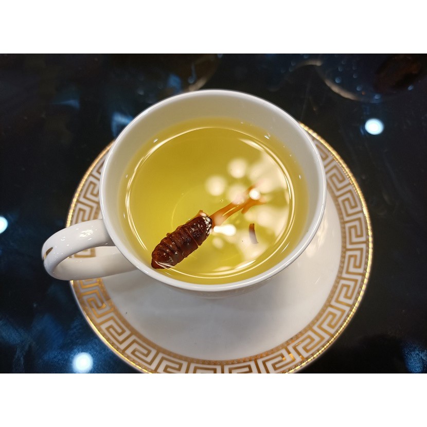 Đông Trùng Hạ Thảo Nguyên Con sấy thăng hoa hàng đẹp | BigBuy360 - bigbuy360.vn