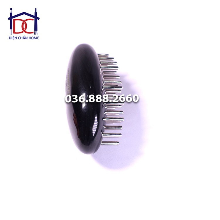 Con bọ lớn Diện Chẩn Bùi Quốc Châu chính hãng