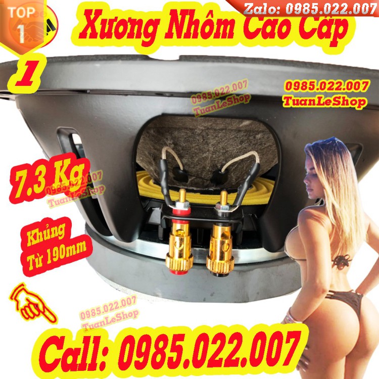 MỘT CỦ LOA KARAOKE BASS 30 NR AUDIO CHÍNH HÃNG - TỪ 190 CÔN 75 – LOA 3 TẤC