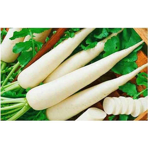 Hạt Giống Củ Cải Trắng [Gói 5g]