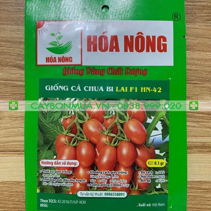 Giống cà chua bi Lai F1 HN-42 GÓI 0.1gr [Giống vàng chất lượng]