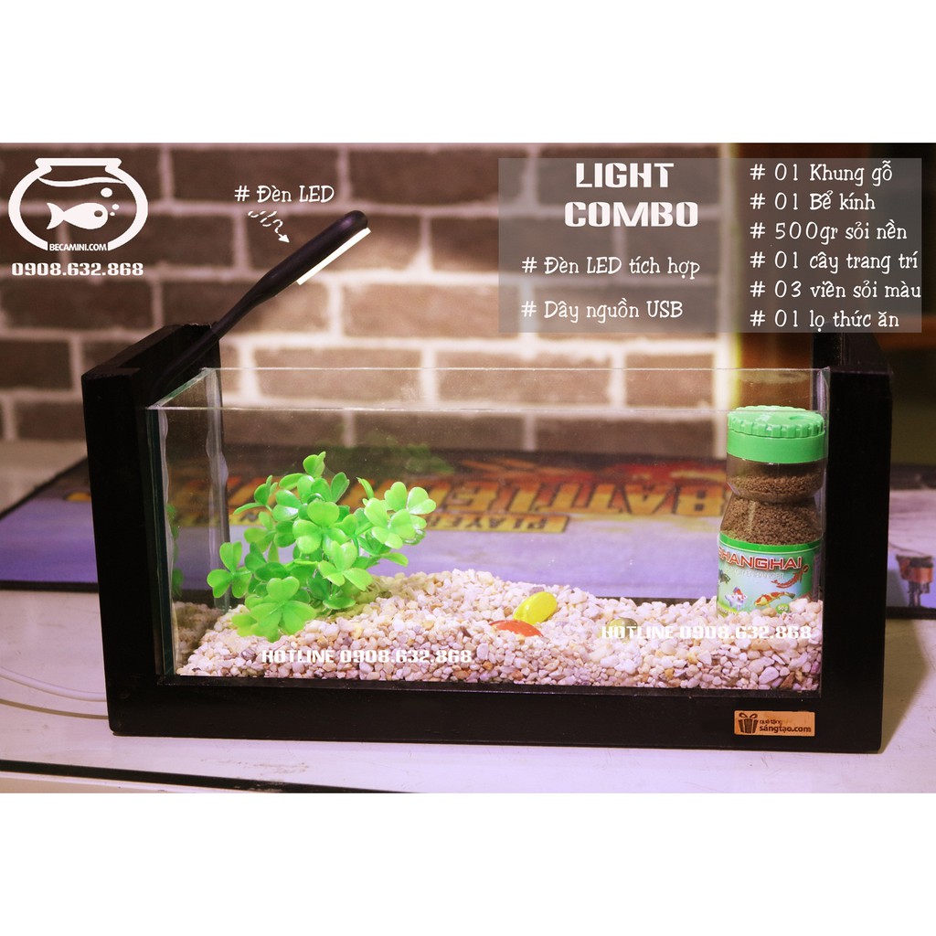 Bể cá mini khung gỗ