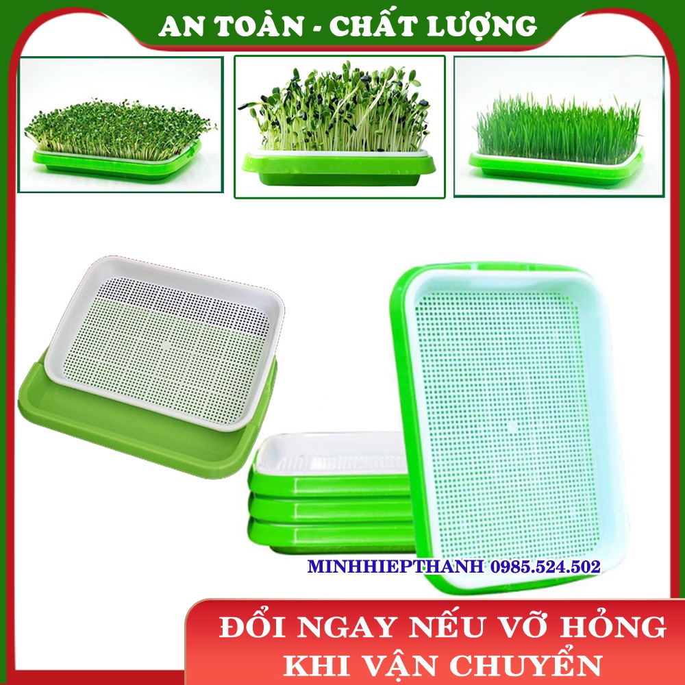 combo 5 Khay trồng Rau mầm Thủy canh, Chậu trồng Rau mầm 2 lớp