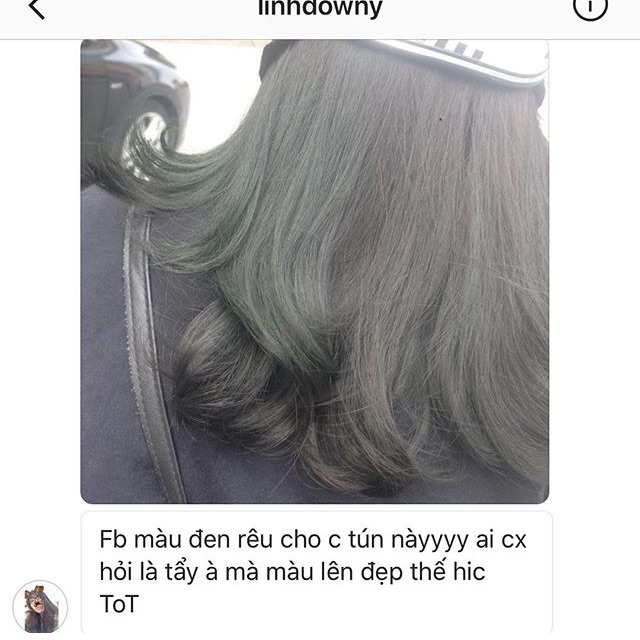 Màu rêu đen