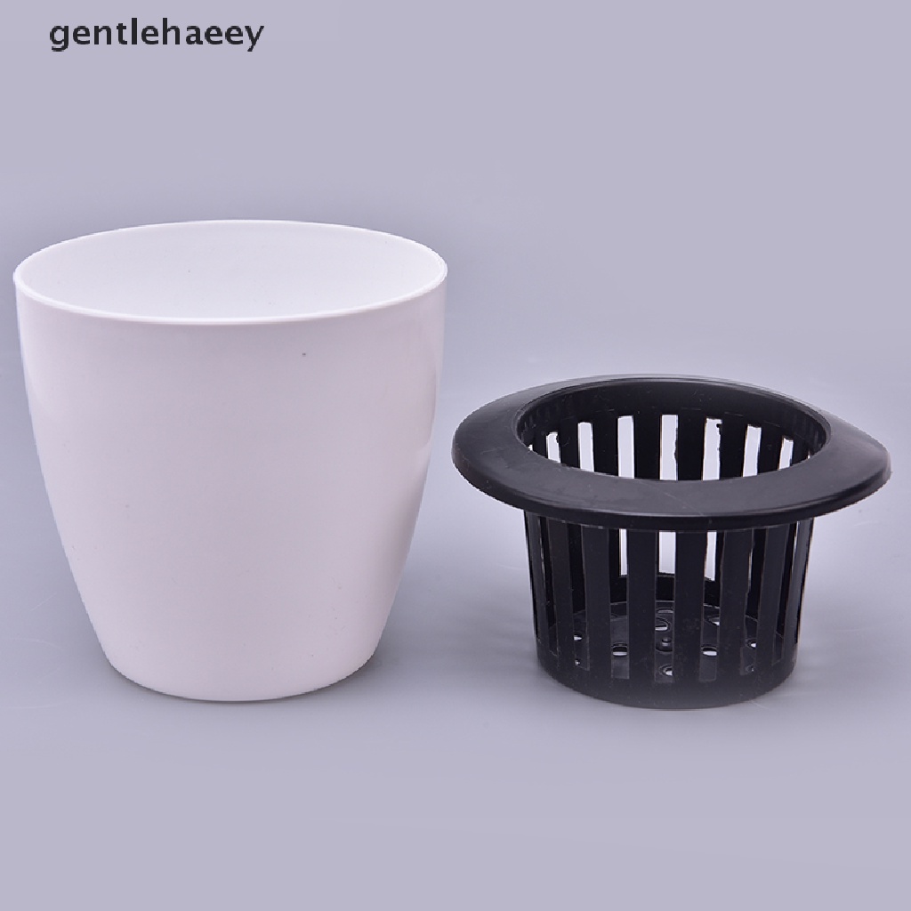 Chậu Trồng Cây Hấp Thụ Nước Tự Động Tiện Dụng