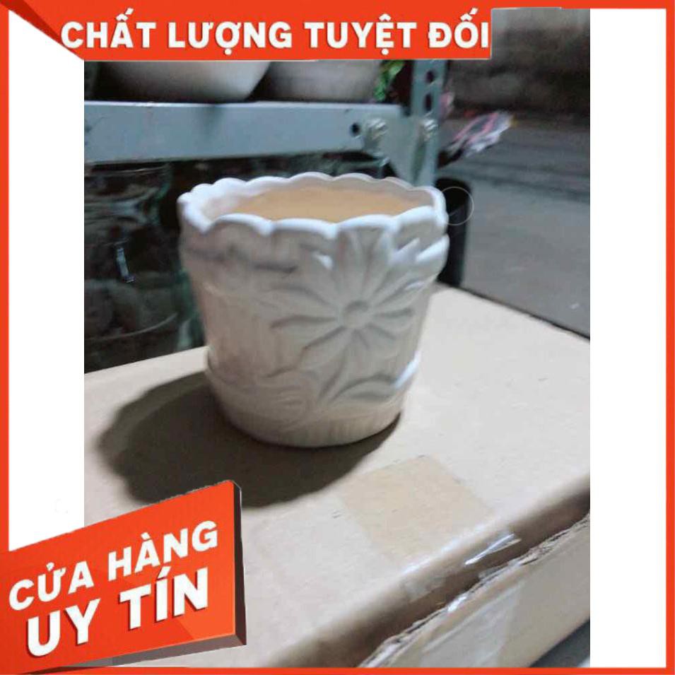 Chậu Trồng Cây Nhiều Người Mua