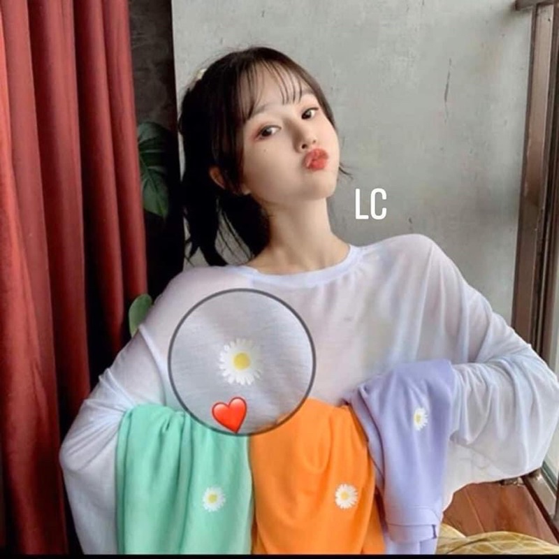 ÁO THUN GIẤY DÀI TAY 5 MÀU QC HOT