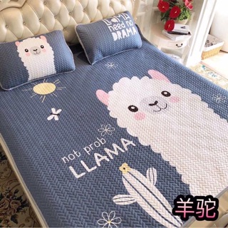 Chiếu điều hoà Tencel-trangmint