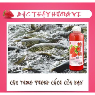 Tinh Chất Sữa Dâu Chuyên Chép