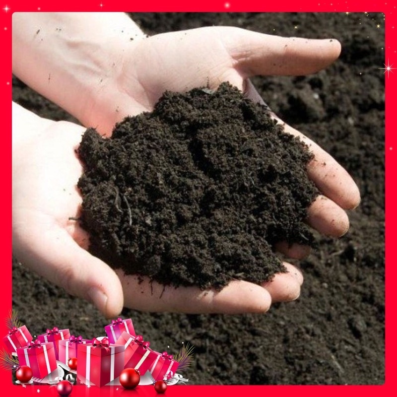 1kg đất sạch chuyên trồng rau, cây cảnh